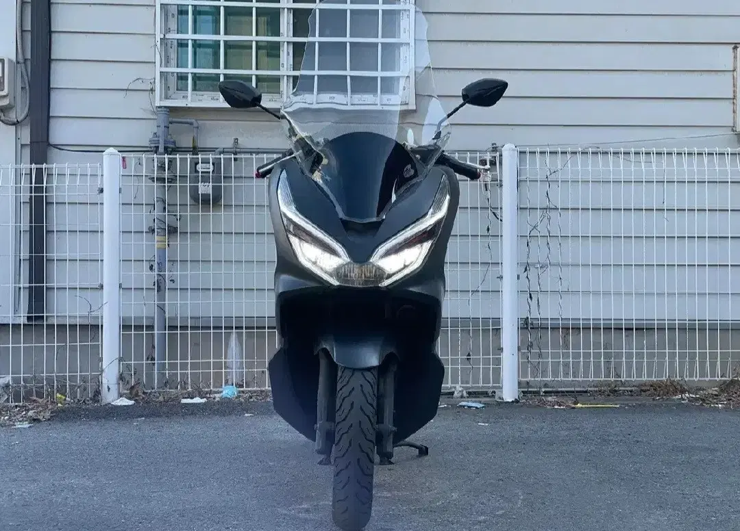 Pcx125 19년 4만 컨디션 좋은 차량